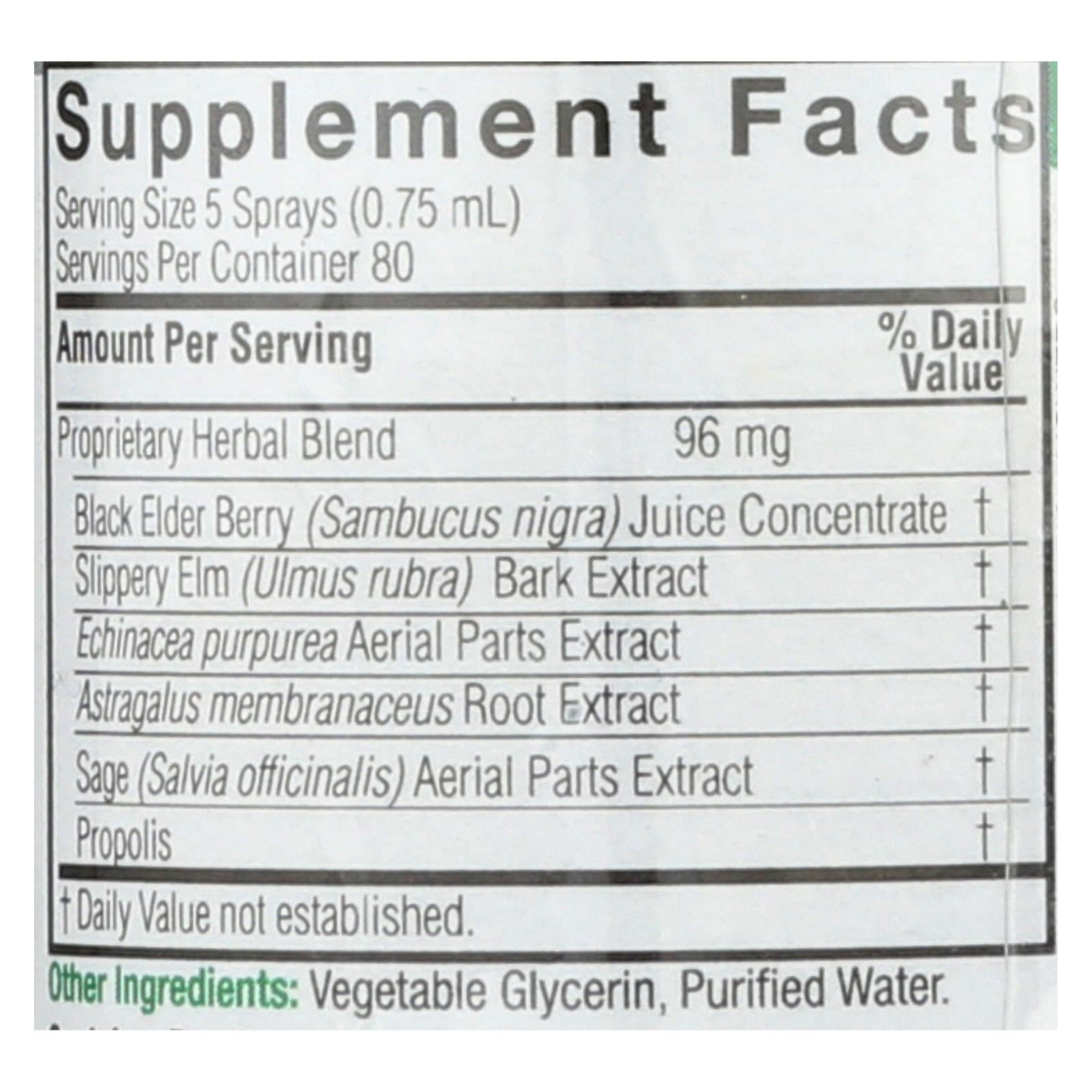 Nature's Answer Black Elderberry Extract Spray, Boosts Immune Health (2 Fl Oz)