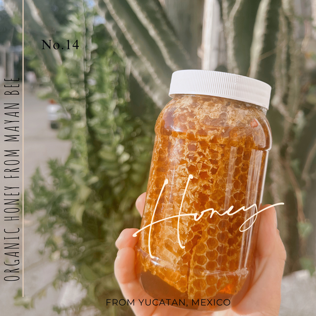ZEEK MAYAN BEE ORGANIC HONEY HAIR SHAMPOO / 16 OZ BOTTLE
