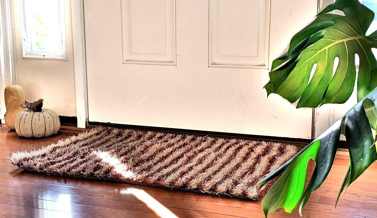 DaDa Bedding Shaggy Soft Door Mat Carpet Rug - 20