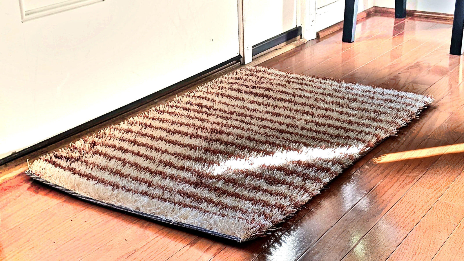 DaDa Bedding Shaggy Soft Door Mat Carpet Rug - 20