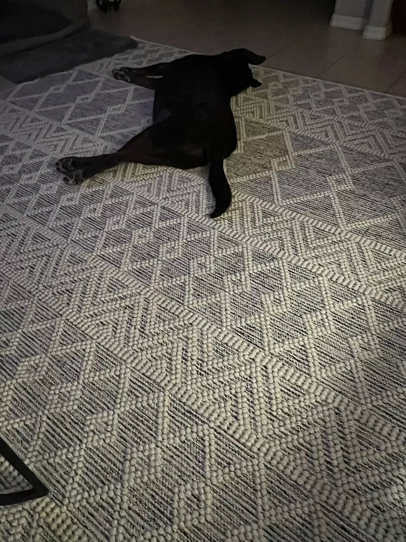 Whittington Wool Area Rug