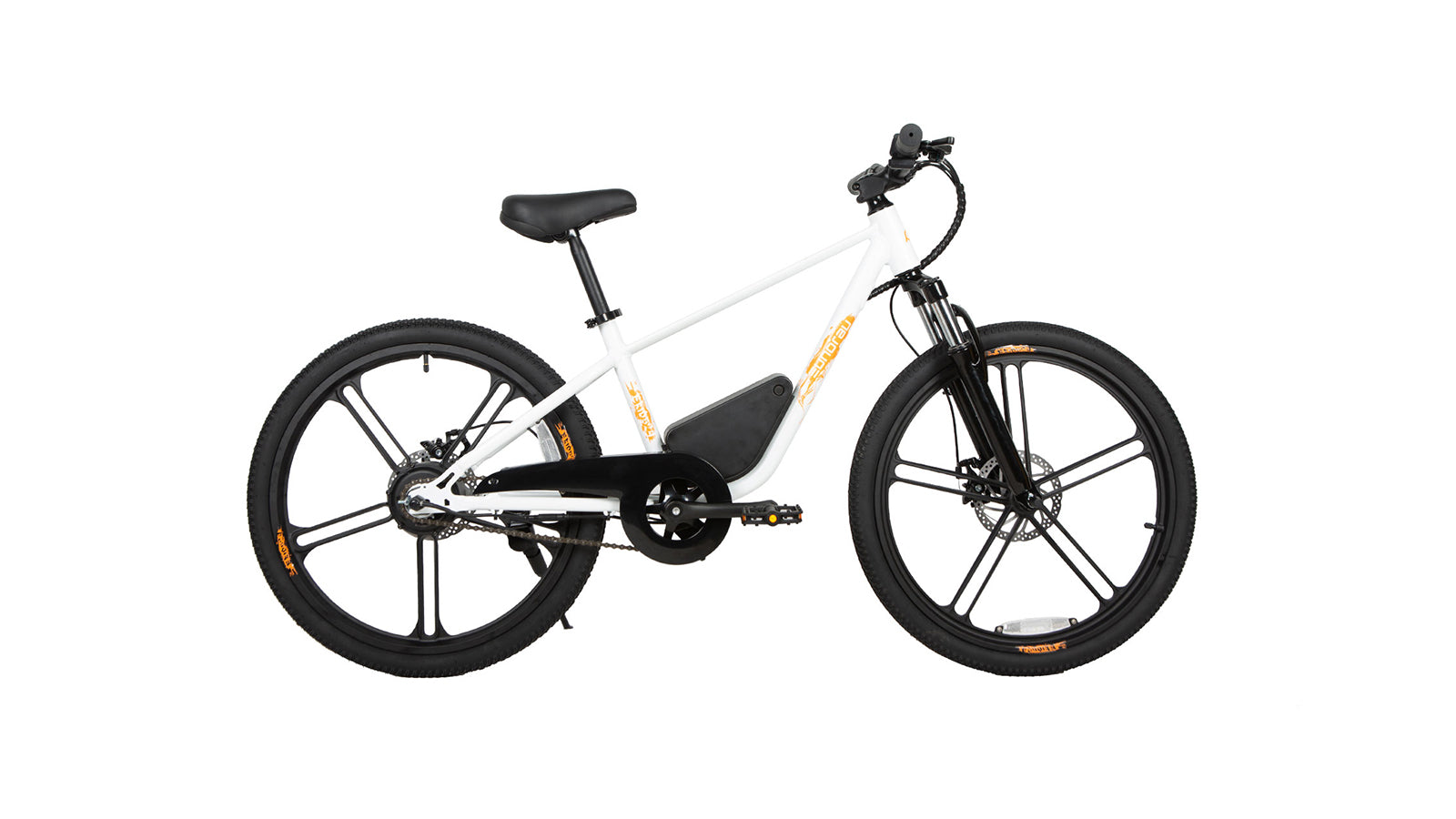 EKIDS24 1.0 -Electric Bicycle