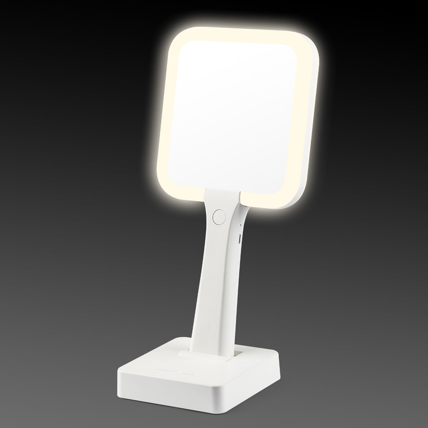 Chicas Mirror - Handheld Mirror