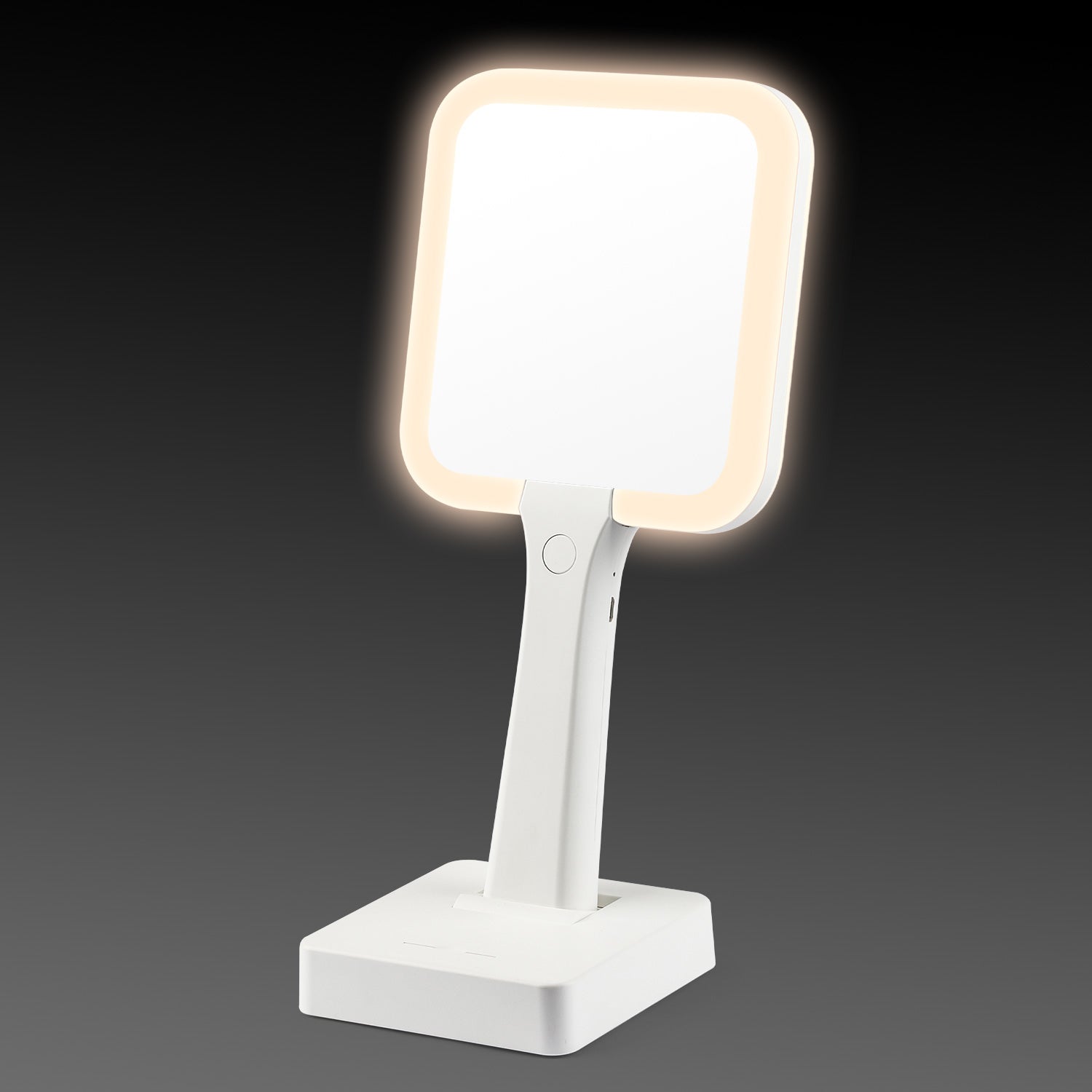 Chicas Mirror - Handheld Mirror