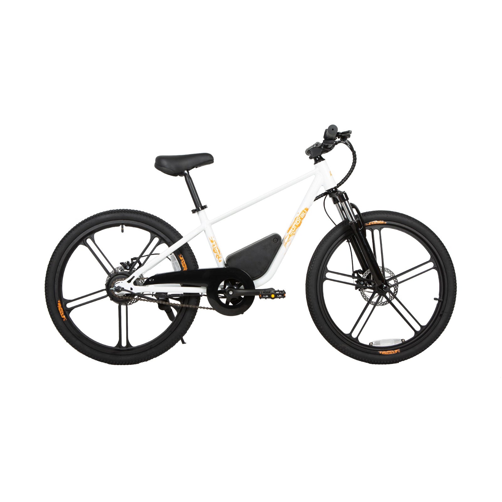 EKIDS24 1.0 -Electric Bicycle