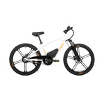 EKIDS24 1.0 -Electric Bicycle