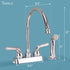 Tehila Chrome Finish Gooseneck Faucet with Side Sprayer