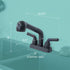 Tehila Black Finish Pull-Out Faucet
