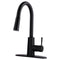 Tehila Black Finish High-Arc Pull-Down Faucet