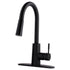 Tehila Black Finish High-Arc Pull-Down Faucet