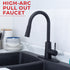 Tehila Black Finish High-Arc Pull-Down Faucet