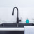 Tehila Black Finish High-Arc Pull-Down Faucet