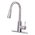 Tehila Stainless Steel Finish High-Arc Pull-Down Faucet