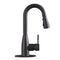 Tehila Black Finish Low Profile Pull-Down Faucet