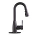 Tehila Black Finish Low Profile Pull-Down Faucet