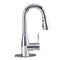 Tehila Chrome Finish Low Profile Pull-Down Faucet