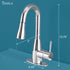 Tehila Chrome Finish Low Profile Pull-Down Faucet
