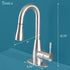 Tehila Stainless Steel Finish Low Profile Pull-Down Faucet