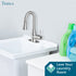 Tehila Stainless Steel Finish Low Profile Pull-Down Faucet
