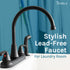 Tehila Black Finish Wide-set Gooseneck Faucet with Side Sprayer