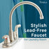 Tehila Stainless Steel Finish Wide-set Gooseneck Faucet with Side Sprayer