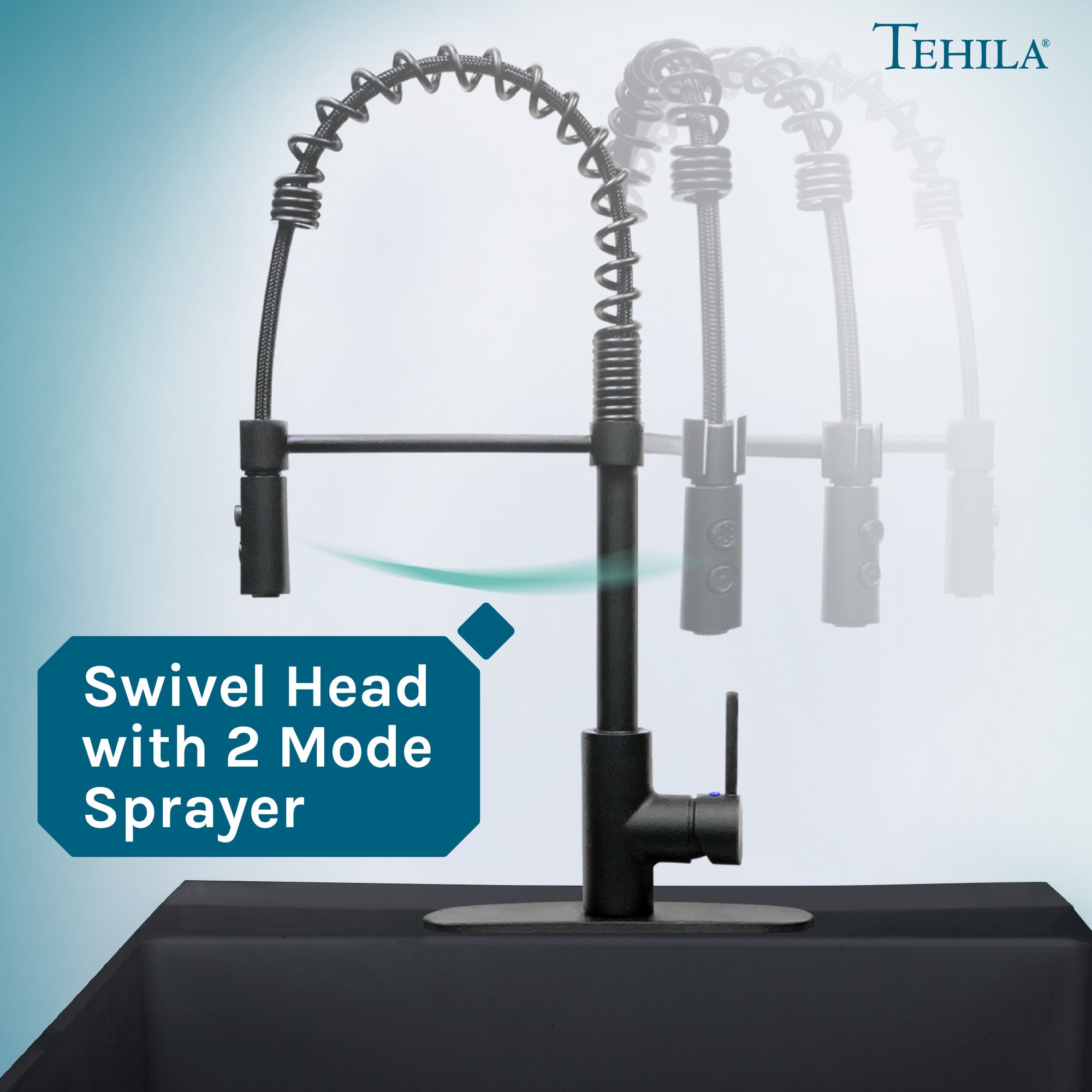 Tehila Black Finish High Arc Coil Pull-Down Faucet