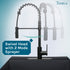 Tehila Black Finish High Arc Coil Pull-Down Faucet
