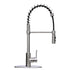 Tehila Stainless Steel Finish High Arc Coil Pull-Down Faucet