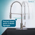 Tehila Stainless Steel Finish High Arc Coil Pull-Down Faucet