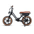 FLASH LITE  ST 1.0 - Electric Bicycle