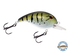 Dive Master Jr
