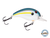 Dive Master Jr