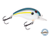 Dive Master Jr