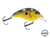 Dive Master Jr