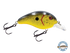 Dive Master Jr