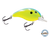 Dive Master Jr