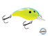 Dive Master Jr