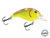 Dive Master Jr