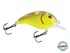 Dive Master Jr