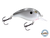 Dive Master Jr