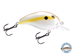 Dive Master Jr