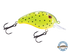 Dive Master Jr