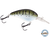 Dive Master 14
