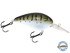 Dive Master 14