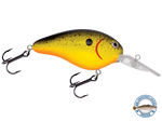 Dive Master 14