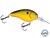 Dive Master 14