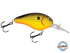 Dive Master 14