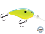 Dive Master 14