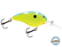 Dive Master 14