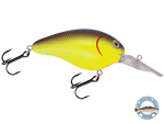 Dive Master 14